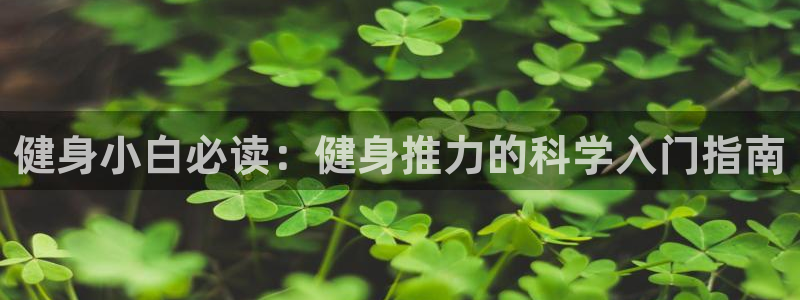 QY球友会体育
